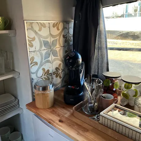 Bed and Breakfast Teddy 