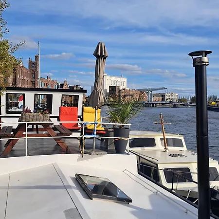 Bed and Breakfast Teddy 