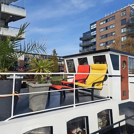 Bed and Breakfast Teddy 