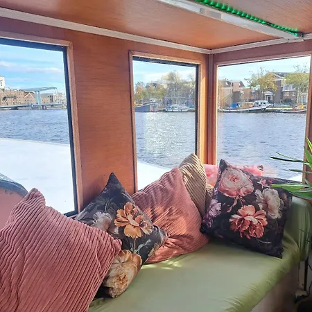 Bed and Breakfast Teddy 